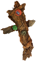 avion de chasse