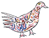 oiseau Faty